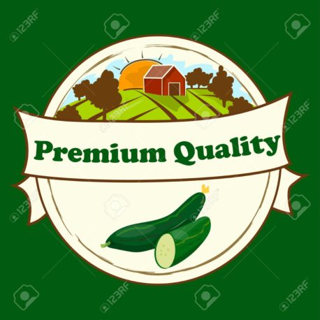 cucumber from the garden. Organic food. Vector illustration. symbol for sauce product label or grocery store, shop and farm market design. Vector round label. Organic collection